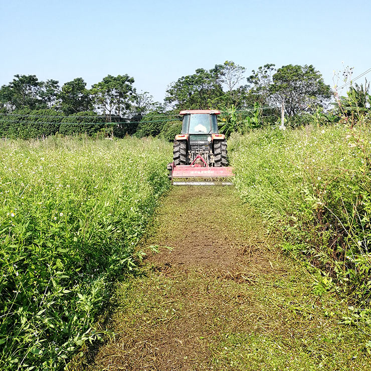 首页- Z6官网中国区人生就是博