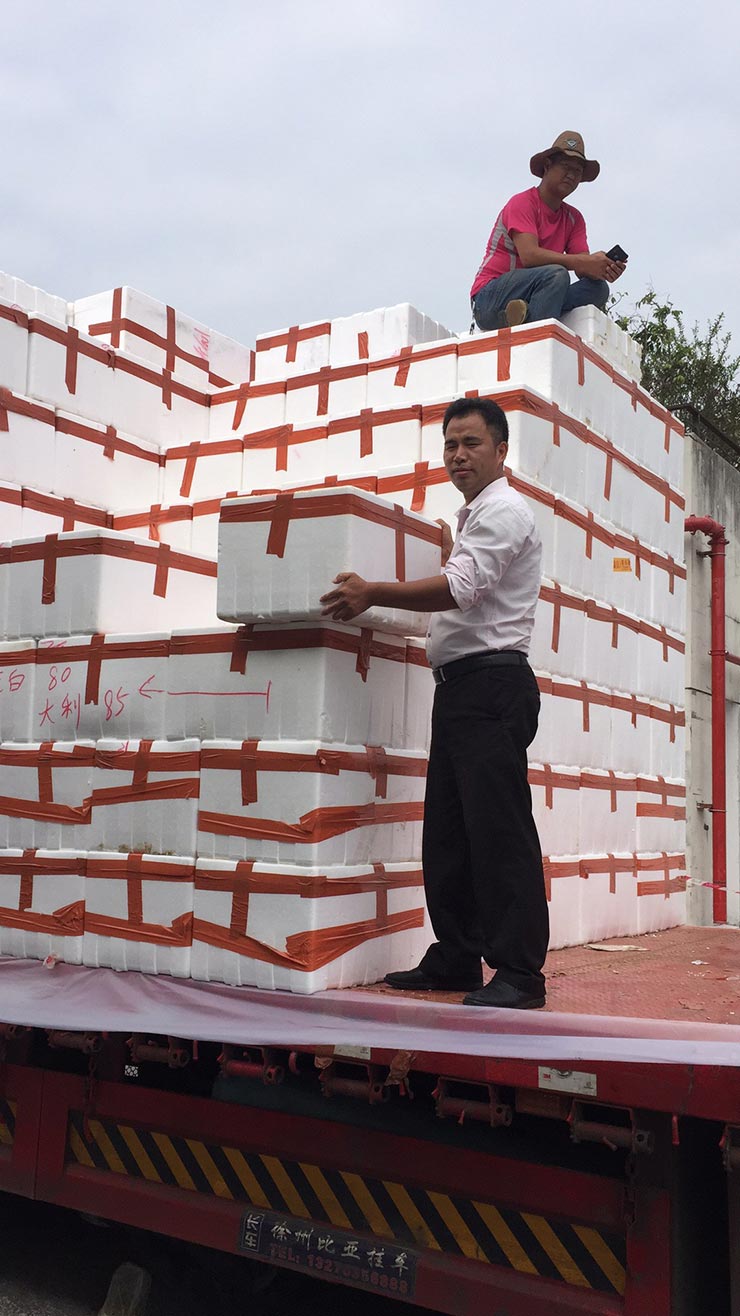 首页- Z6官网中国区人生就是博