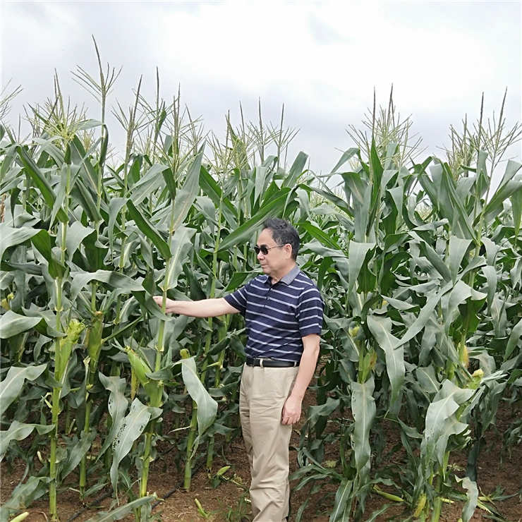 首页- Z6官网中国区人生就是博