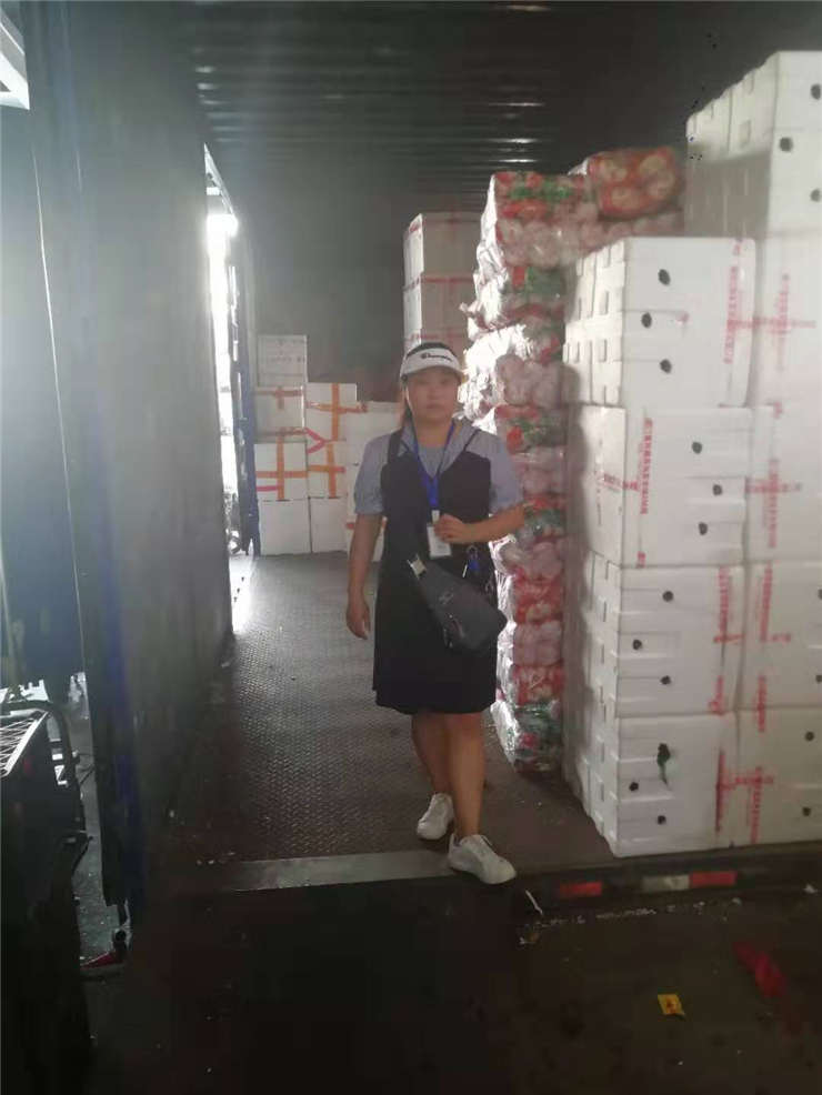 首页- Z6官网中国区人生就是博