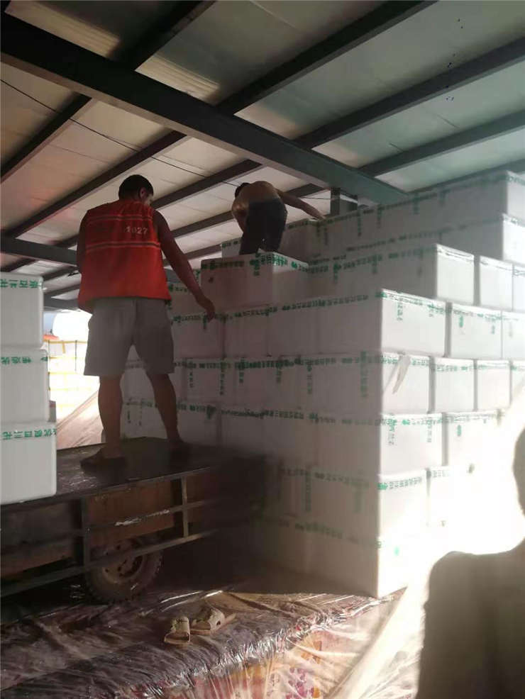 首页- Z6官网中国区人生就是博