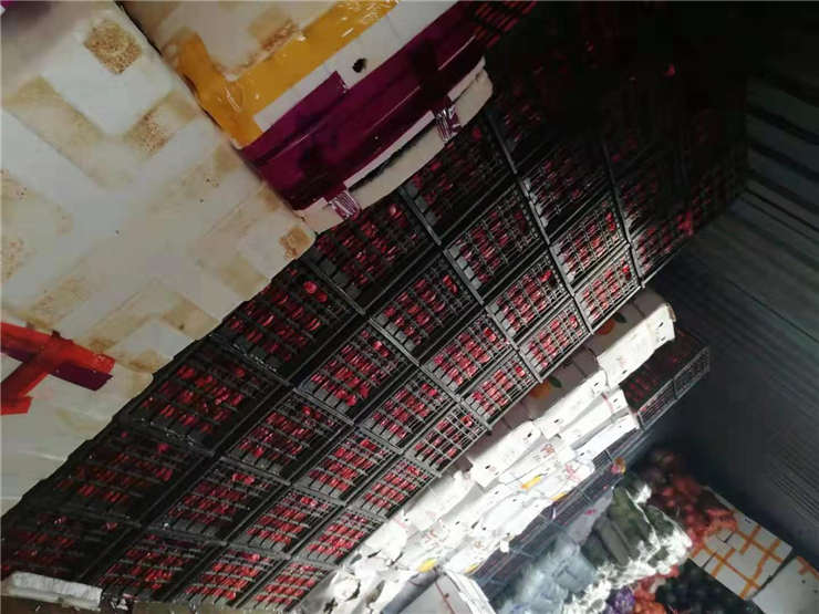 首页- Z6官网中国区人生就是博