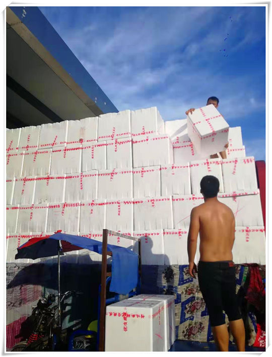 首页- Z6官网中国区人生就是博