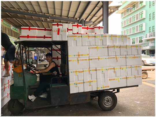 首页- Z6官网中国区人生就是博