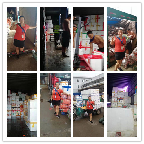 首页- Z6官网中国区人生就是博