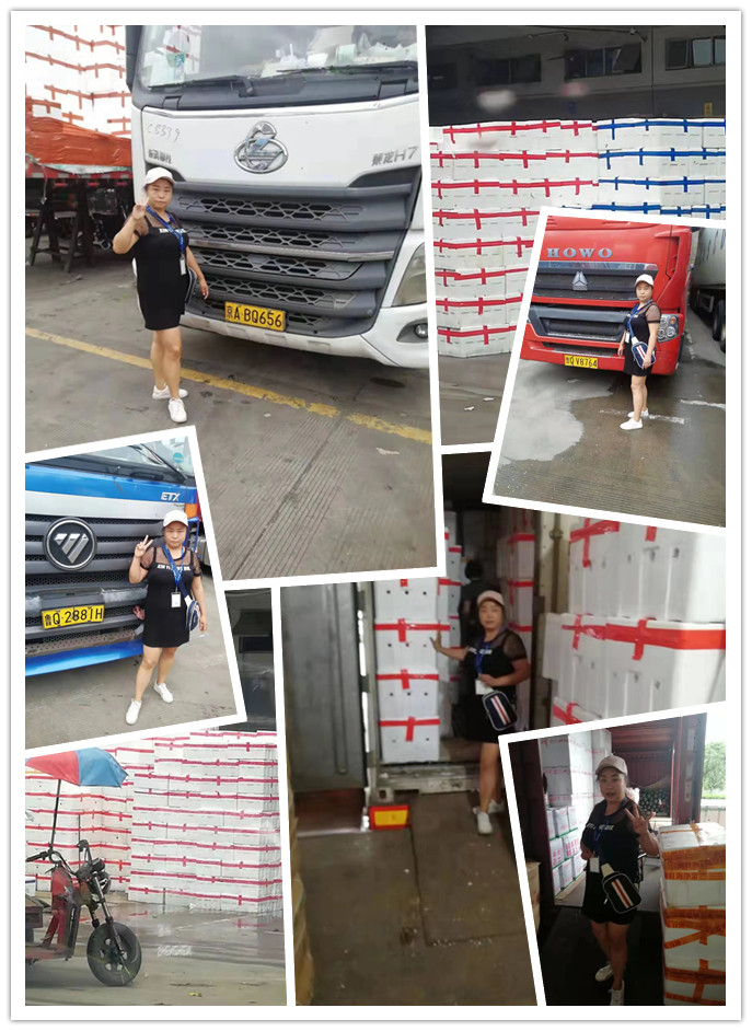 首页- Z6官网中国区人生就是博