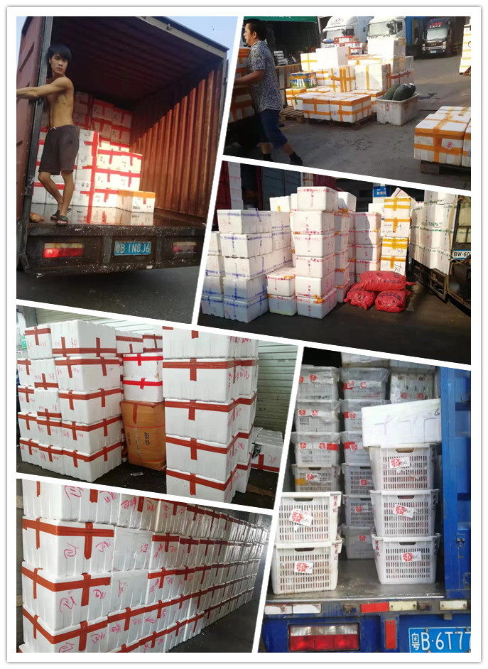 首页- Z6官网中国区人生就是博