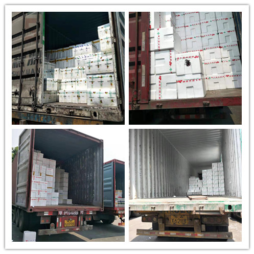 首页- Z6官网中国区人生就是博