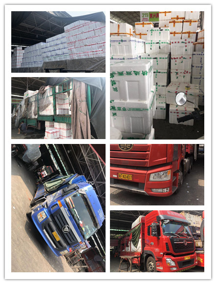 首页- Z6官网中国区人生就是博