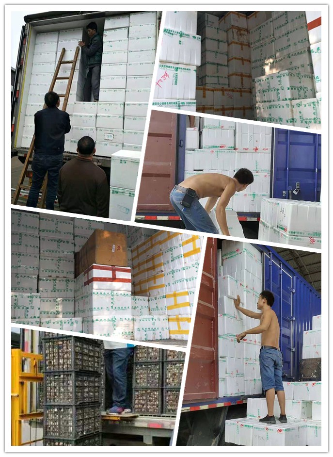 首页- Z6官网中国区人生就是博