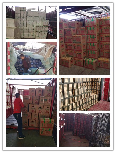 首页- Z6官网中国区人生就是博