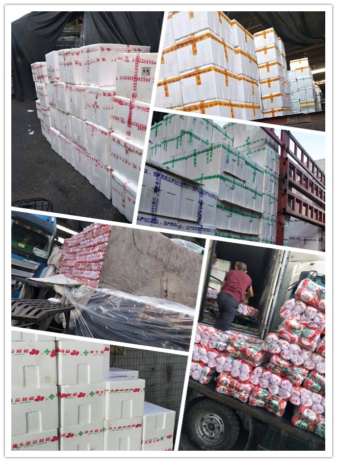 首页- Z6官网中国区人生就是博